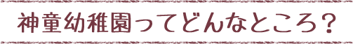 神童幼稚園ってどんなところ？